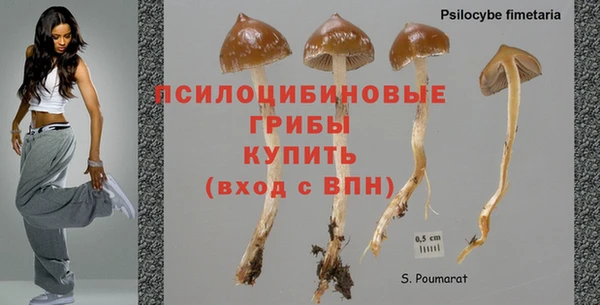 кокс Алексин