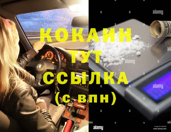 кокс Алексин
