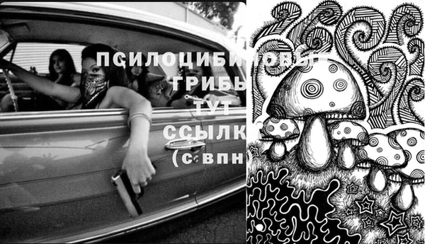 кокс Алексин