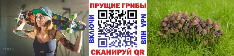 Псилоцибиновые грибы прущие грибы нарко площадка формула Похвистнево сколько стоит